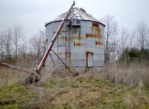 Property photo 7 - 42 Acres Offered in 3 Tracts